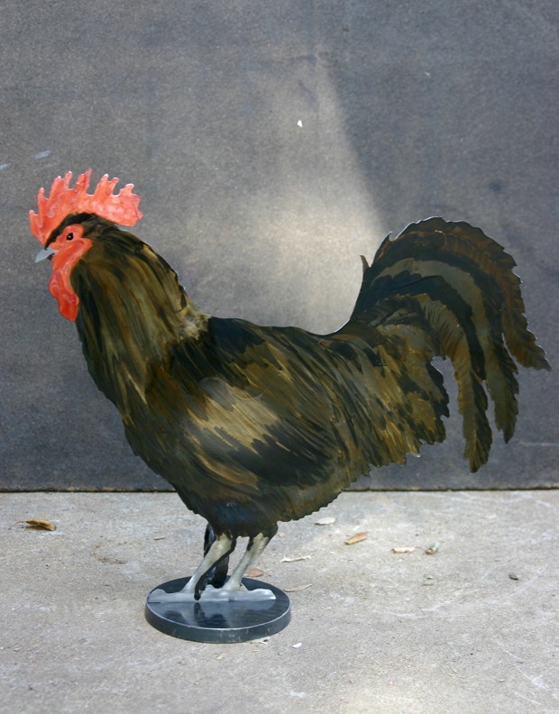 Black Rooster