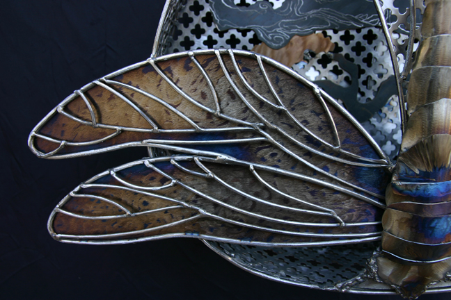 dragonfly wings to show depth