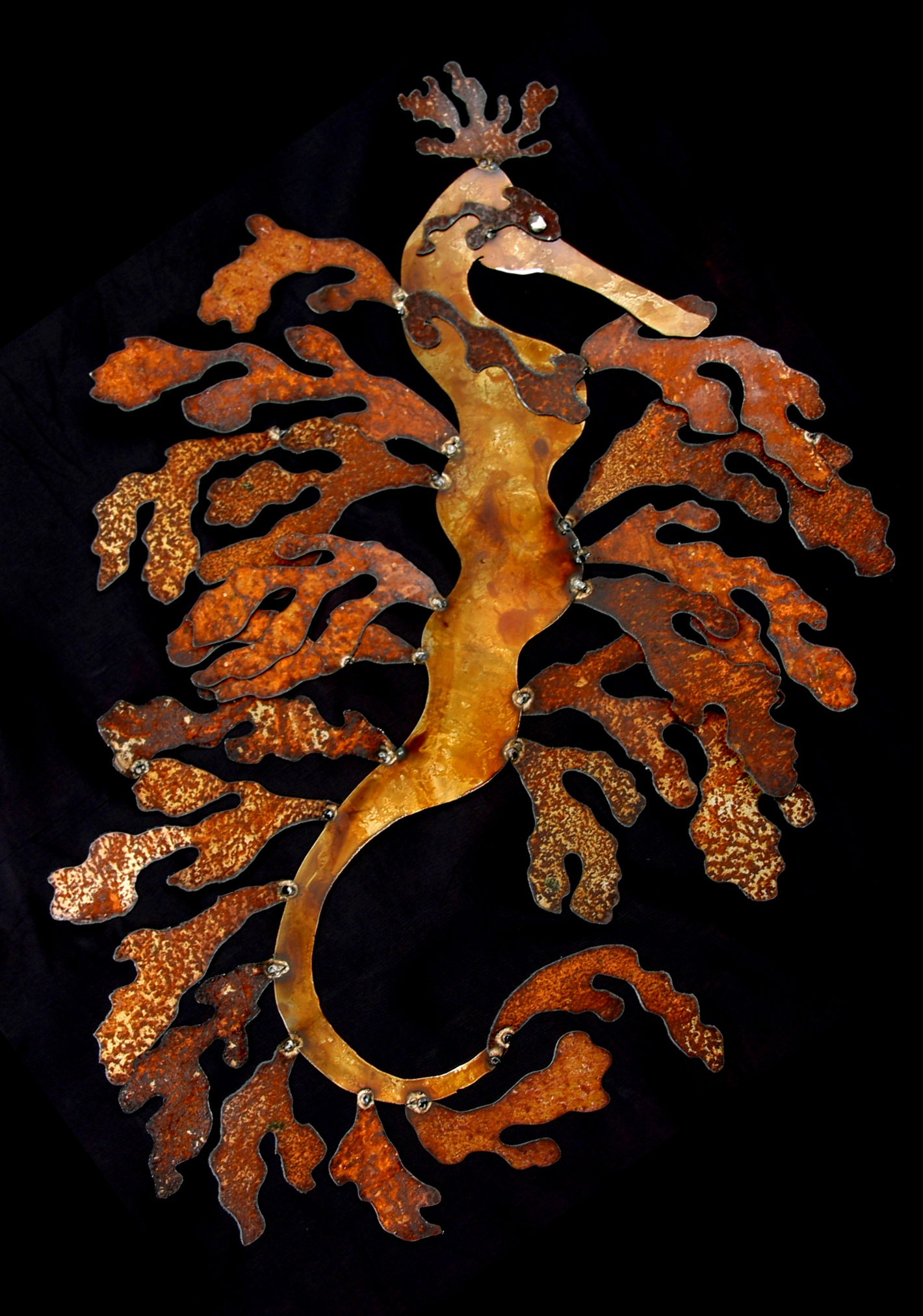 Rusted metal Leafy SeaDragon