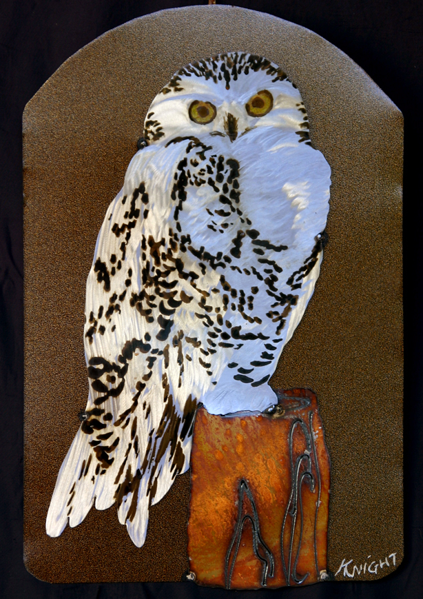 Snowy Owl   20